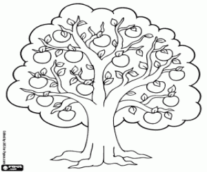 Apple-tree coloring page