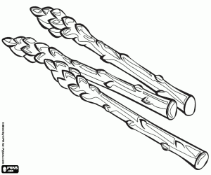 Asparagus, an edible plant coloring page