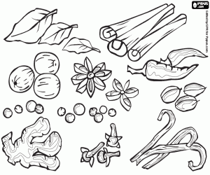 An assortment of spices coloring page