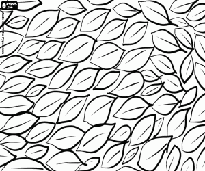 An  autumn carpet coloring page