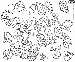 Autumn, fallen leaves and fruits coloring page