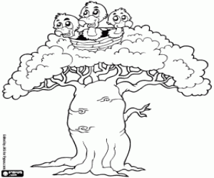 Baobab coloring page