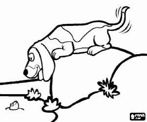 A Basset dog and a fish coloring page