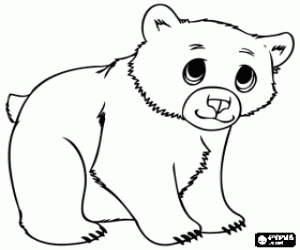 Bear cub, baby bear coloring page