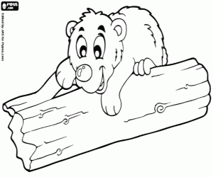 Bear cub coloring page