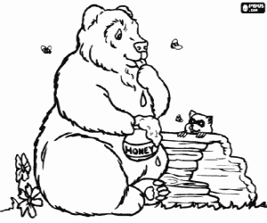 Bear eating honey coloring page
