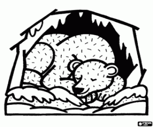 A bear in hibernation coloring page