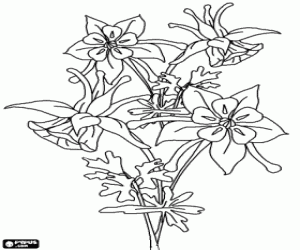 Beautiful bell-shaped flowers coloring page