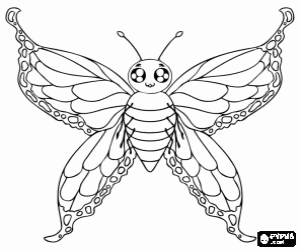 Beautiful butterfly with open wings coloring page