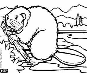 A beaver with wood for the dam coloring page
