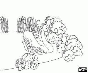 It has become a swan coloring page