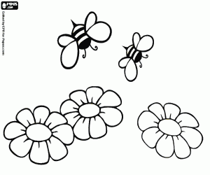 Bees and flowers, honey production coloring page