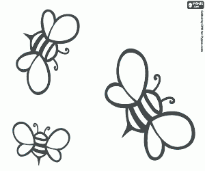 Bees, the honey producers coloring page
