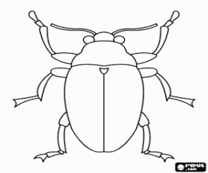 Beetle coloring page