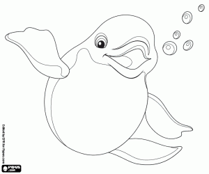 A beluga coloring page
