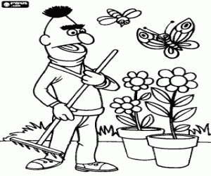 Bert and the flowers of the garden coloring page