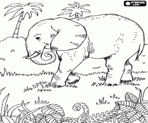 A big elephant in the vegetation coloring page