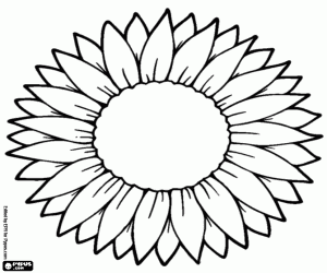 A big flower to customize coloring page