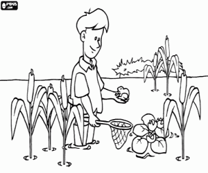 Biologist and the ponds fauna coloring page