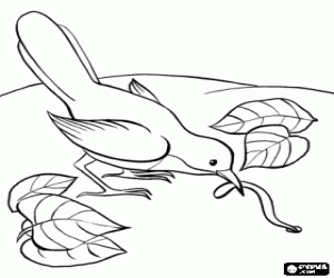 A bird with a worm at the beak coloring page