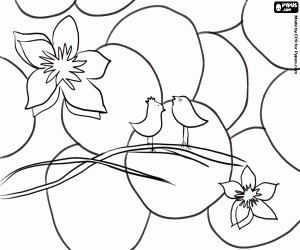 Birds and flowers in spring coloring page