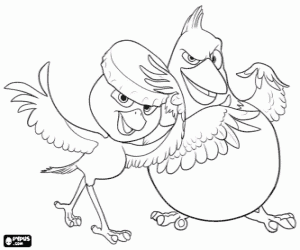 The birds Pedro and Nico from Rio coloring page