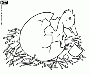 The birth of the ugly duckling coloring page