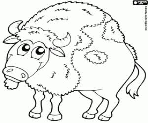Bison, wild animal coloring page