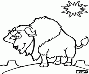Bison coloring page