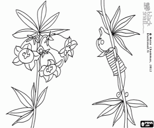 Blackie and the bellflowers coloring page