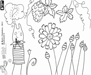 Blackie and the catananche plants coloring page