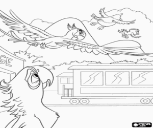 Blu observing Jewel, Nico and Pedro coloring page