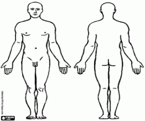 The body of a man coloring page