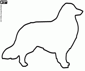 Border Collie dog silhouette coloring page