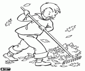 Boy and fallen leaves in autumn coloring page