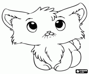 Breeding cat, kitten coloring page