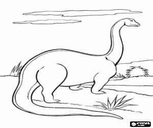 Brontosaurus gazing the horizon coloring page
