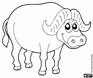 Buffalo coloring page