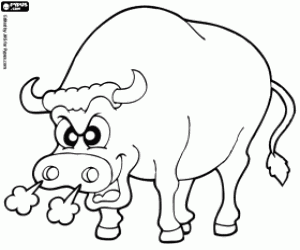Bull coloring page