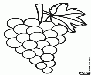 A bunch of grapes, line drawing coloring page