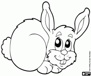 Bunny coloring page