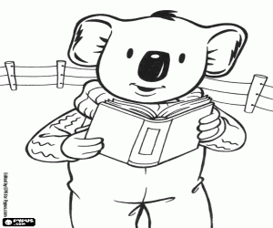 Buster the koala reads a book coloring page