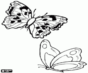 Butterflies flying coloring page