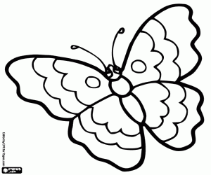 Butterfly of beautiful open wings coloring page