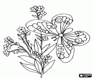 The butterfly and a flowering plant coloring page