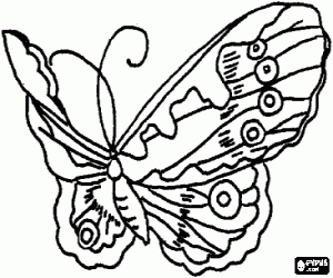 Butterfly flying coloring page
