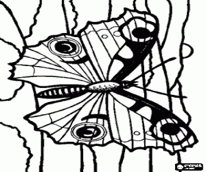 Butterfly on a trunk coloring page
