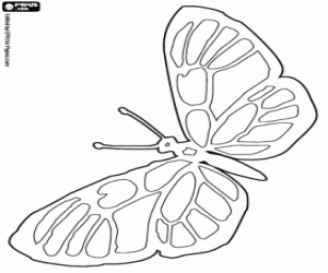 Butterfly with spotted wings coloring page