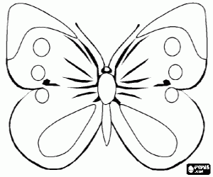 Butterfly coloring page