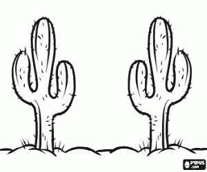 Cactus of the Sonoran Desert coloring page